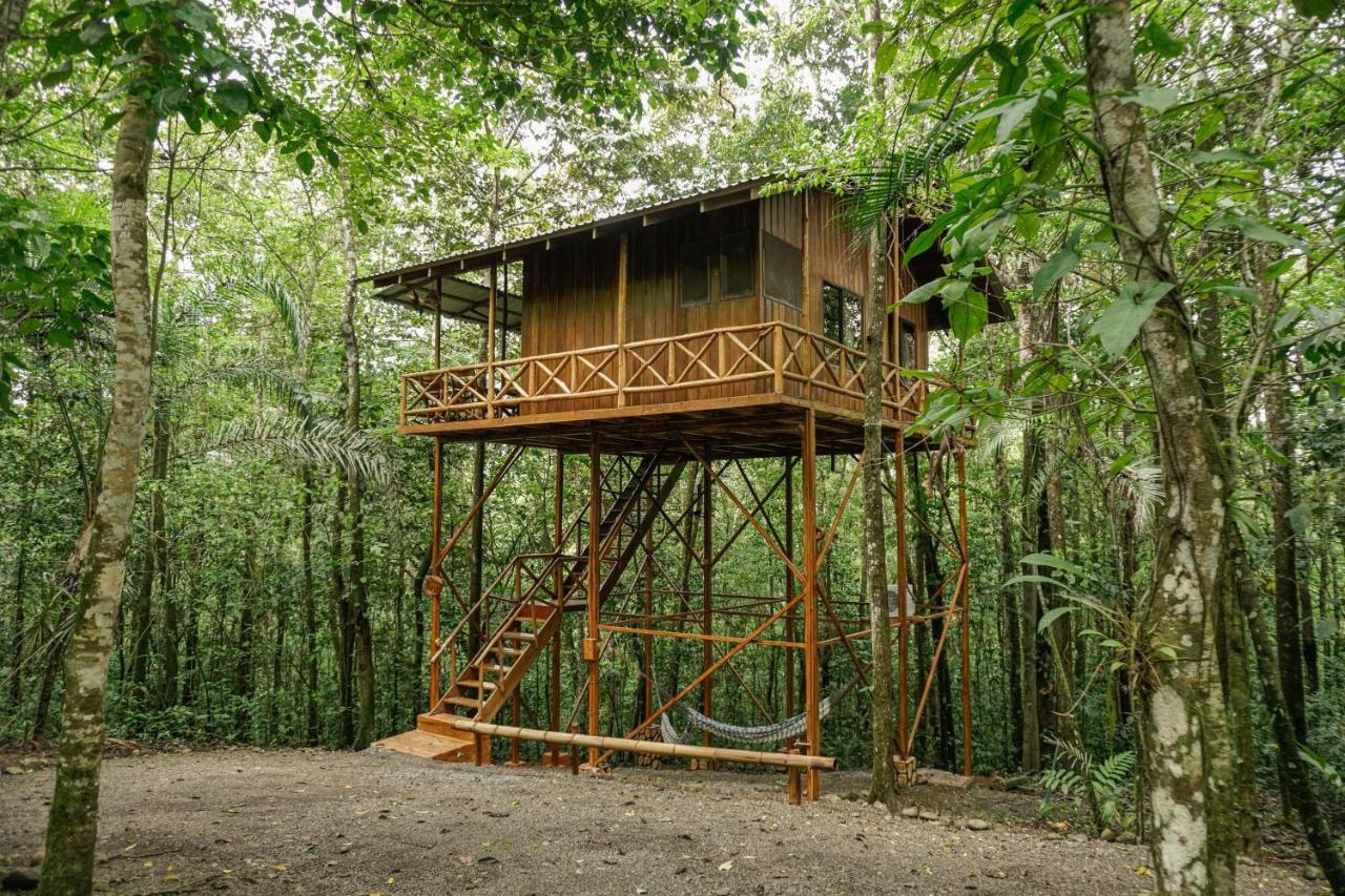Tree Houses Hotel Costa Rica Florencia Esterno foto