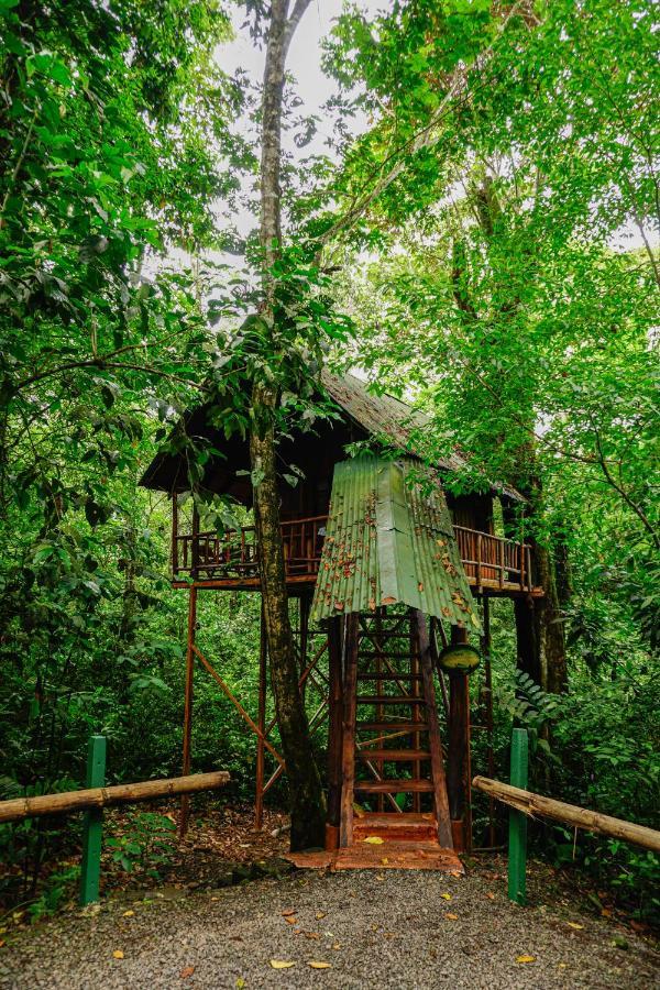 Tree Houses Hotel Costa Rica Florencia Esterno foto