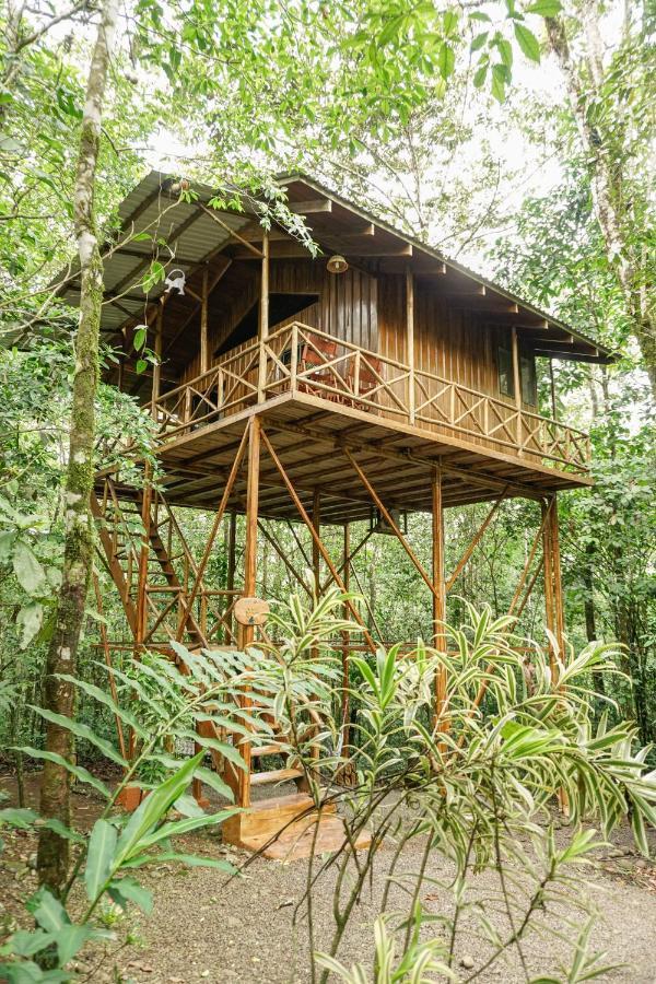 Tree Houses Hotel Costa Rica Florencia Esterno foto