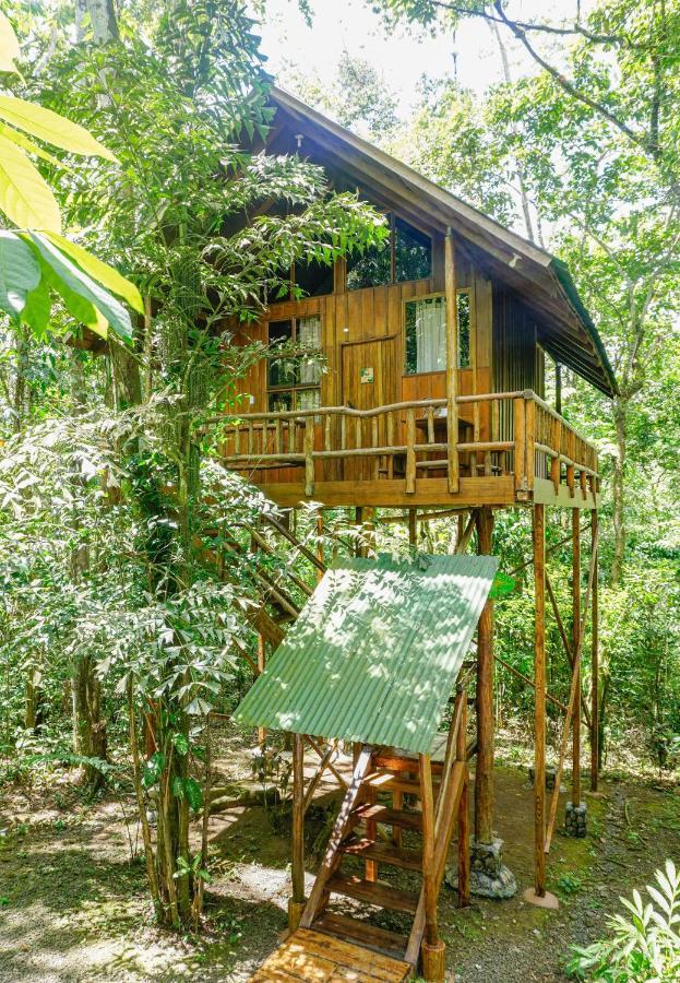 Tree Houses Hotel Costa Rica Florencia Esterno foto