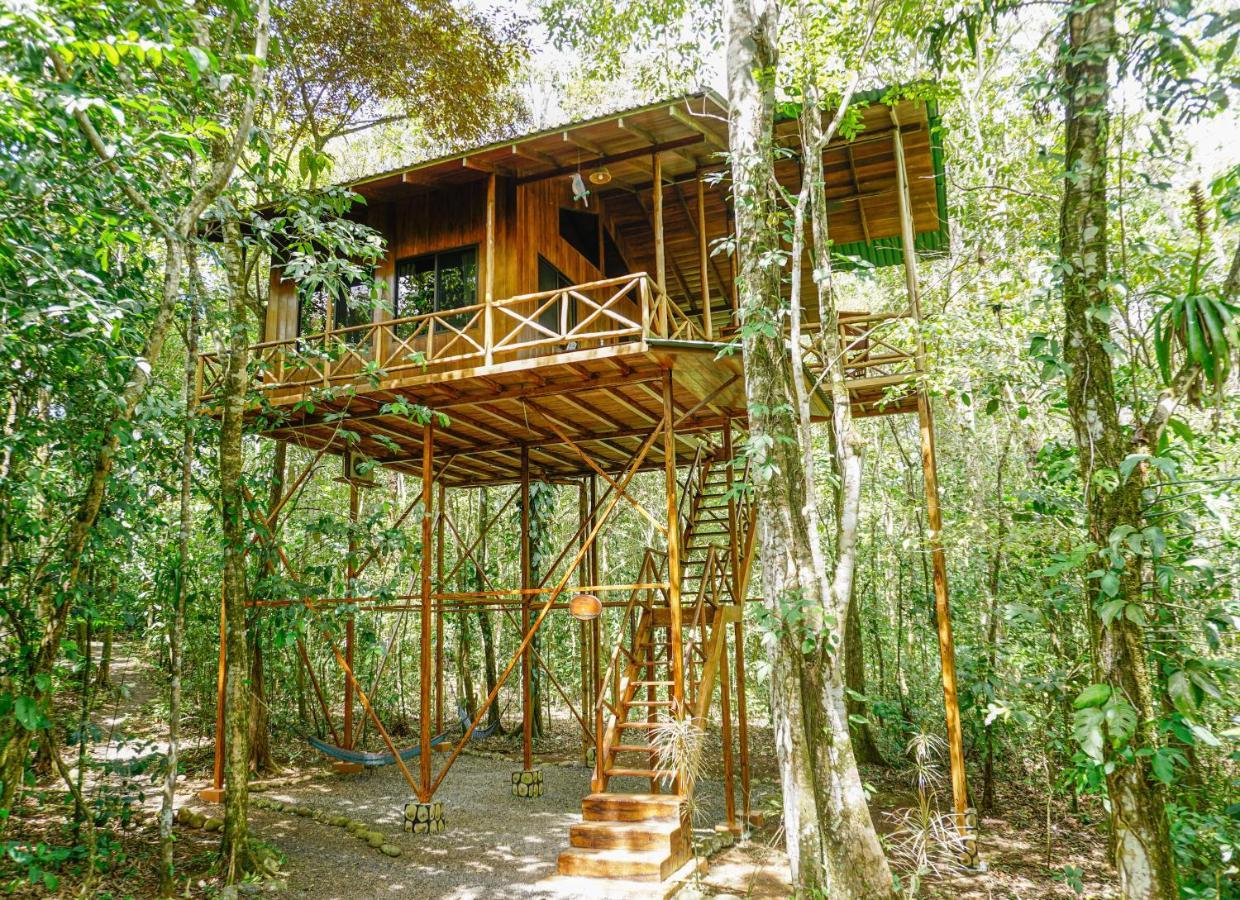 Tree Houses Hotel Costa Rica Florencia Esterno foto
