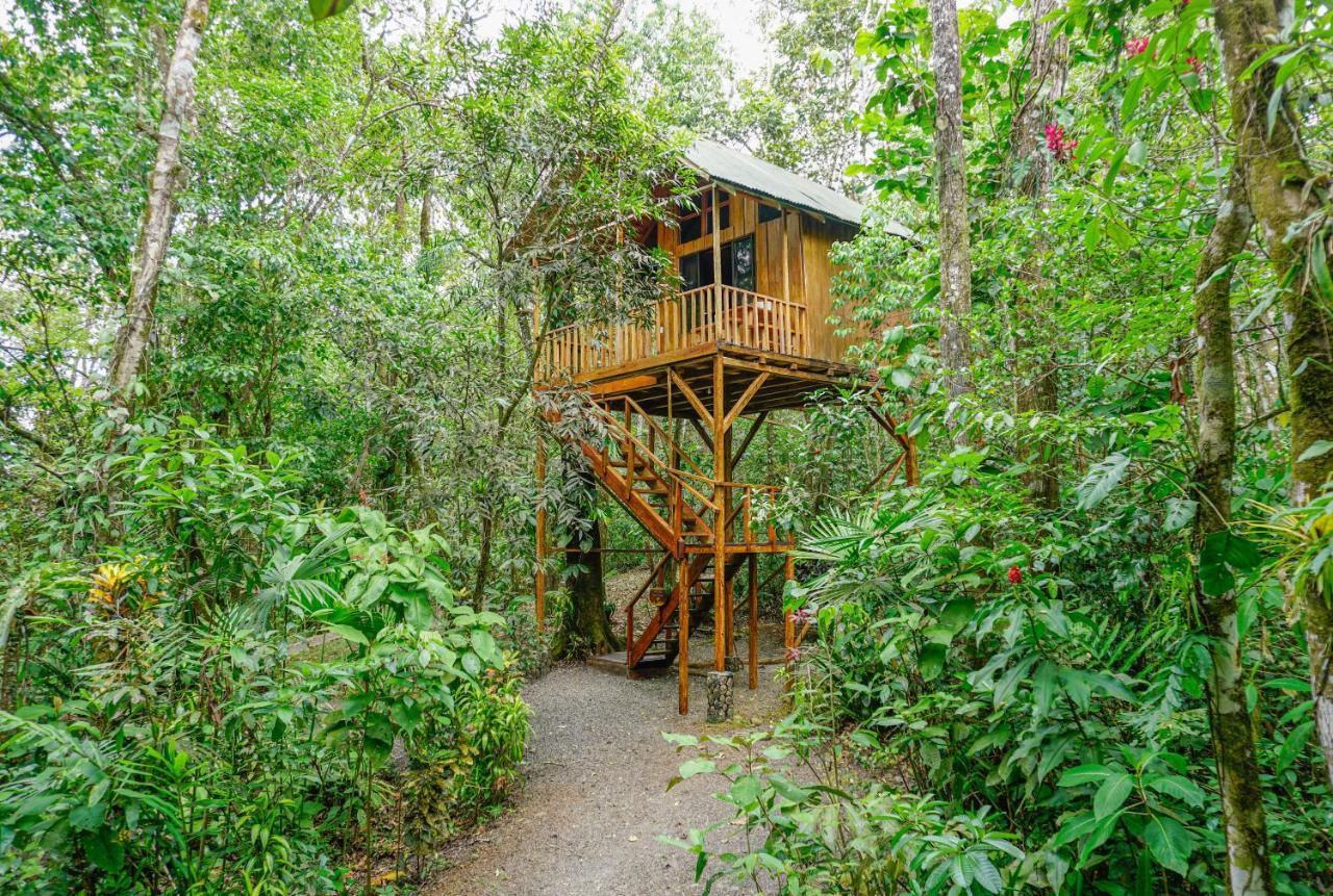 Tree Houses Hotel Costa Rica Florencia Esterno foto