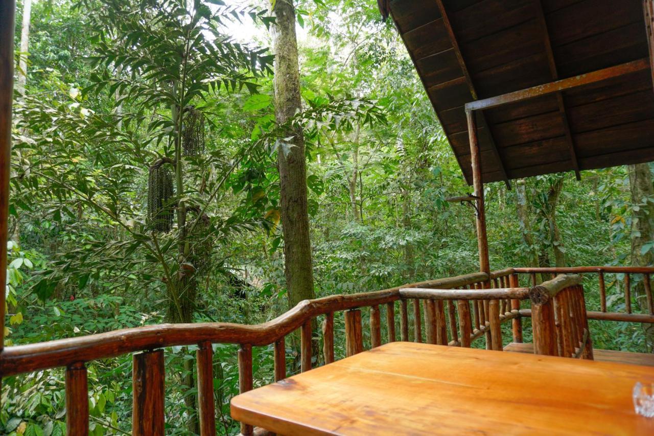 Tree Houses Hotel Costa Rica Florencia Esterno foto