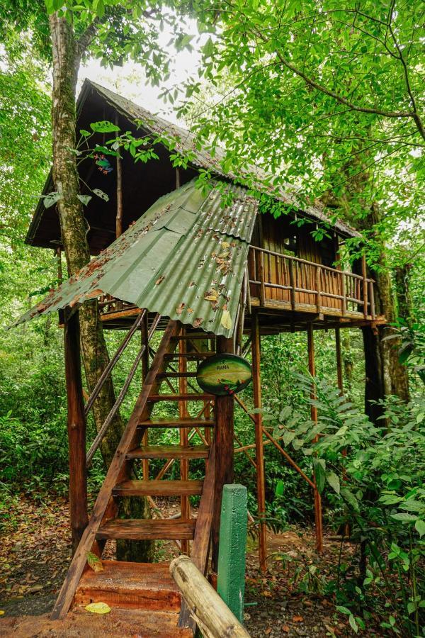Tree Houses Hotel Costa Rica Florencia Esterno foto