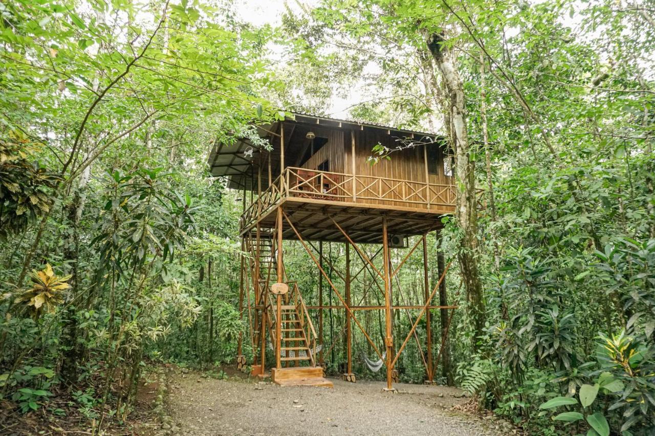 Tree Houses Hotel Costa Rica Florencia Esterno foto