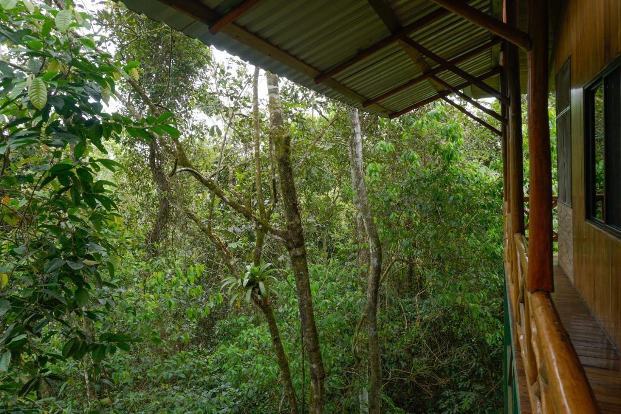 Tree Houses Hotel Costa Rica Florencia Esterno foto