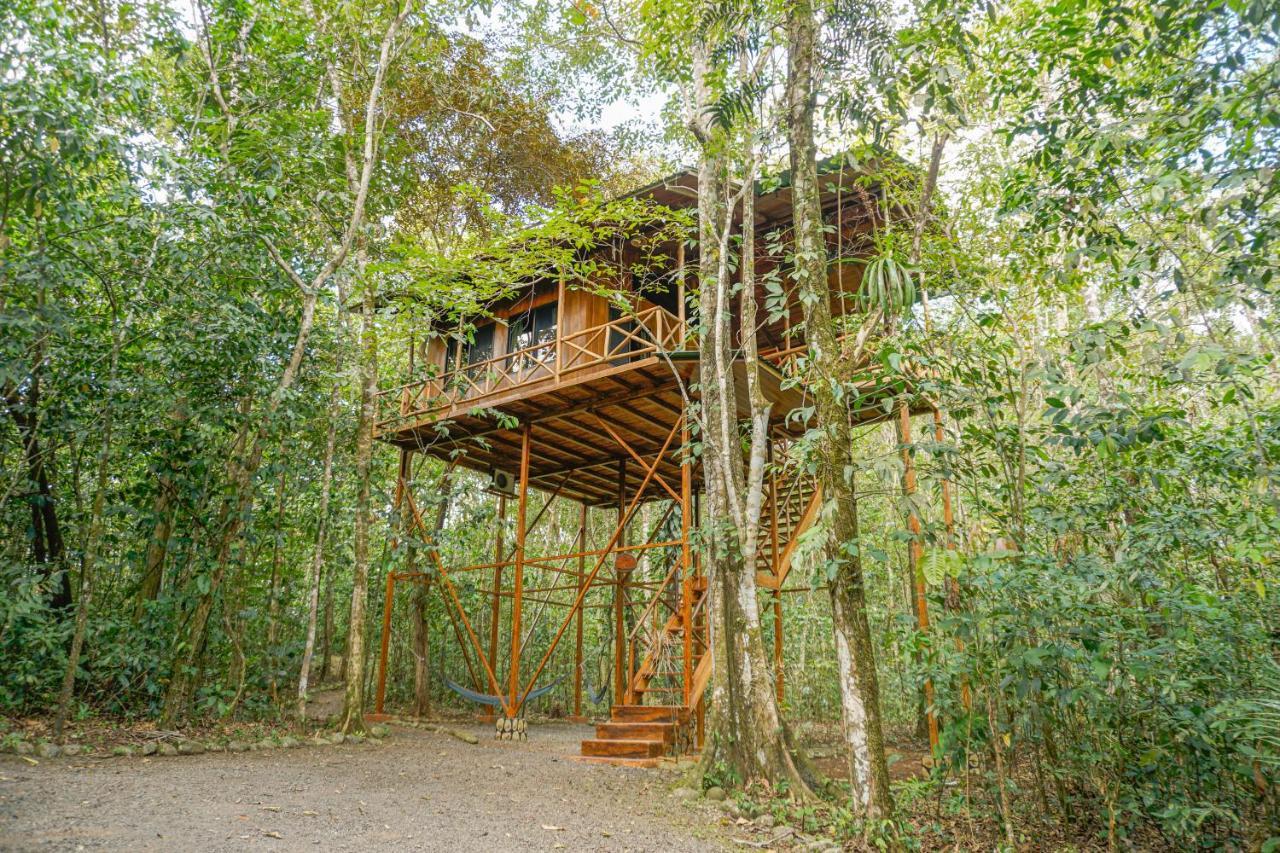 Tree Houses Hotel Costa Rica Florencia Esterno foto