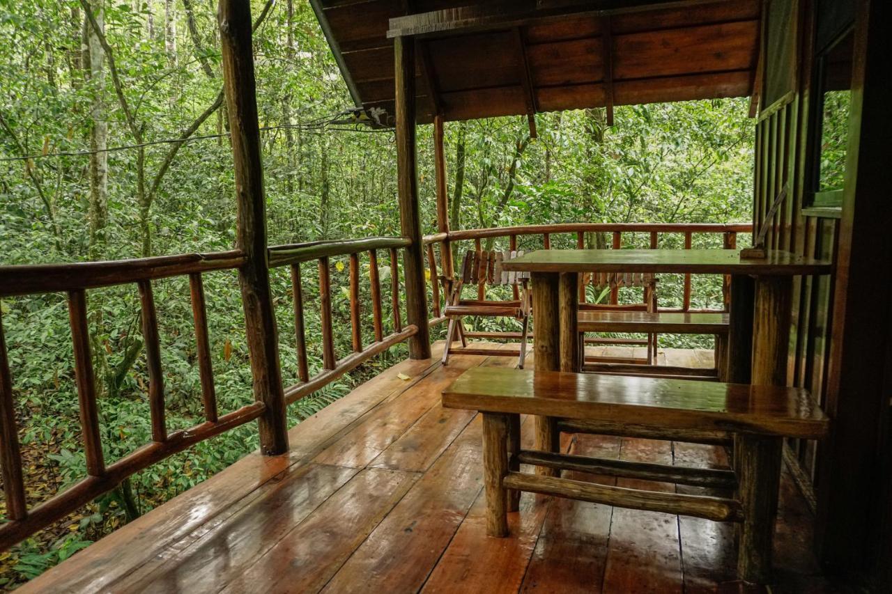Tree Houses Hotel Costa Rica Florencia Esterno foto
