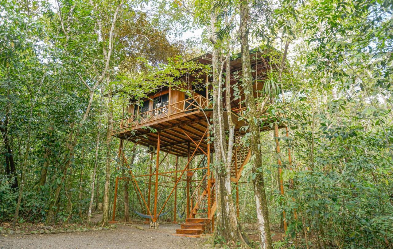 Tree Houses Hotel Costa Rica Florencia Esterno foto