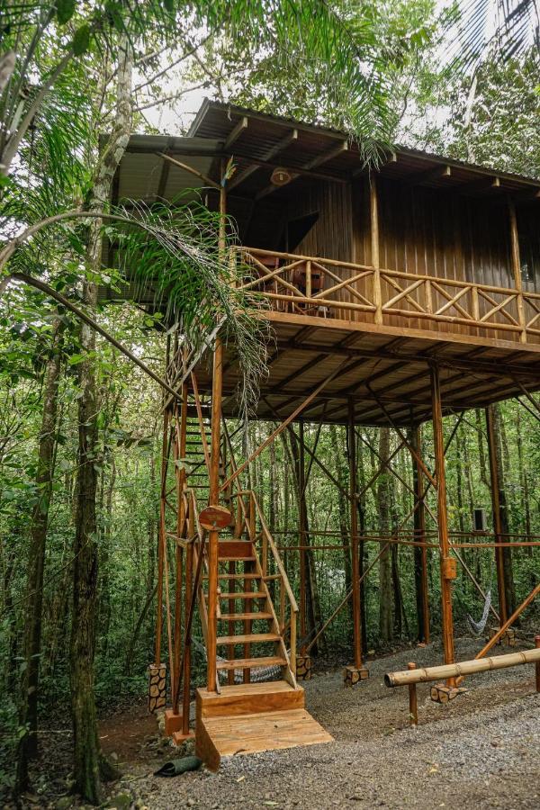 Tree Houses Hotel Costa Rica Florencia Esterno foto