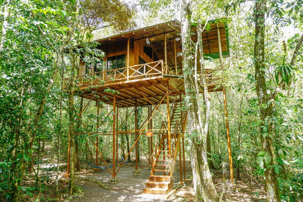 Tree Houses Hotel Costa Rica Florencia Esterno foto
