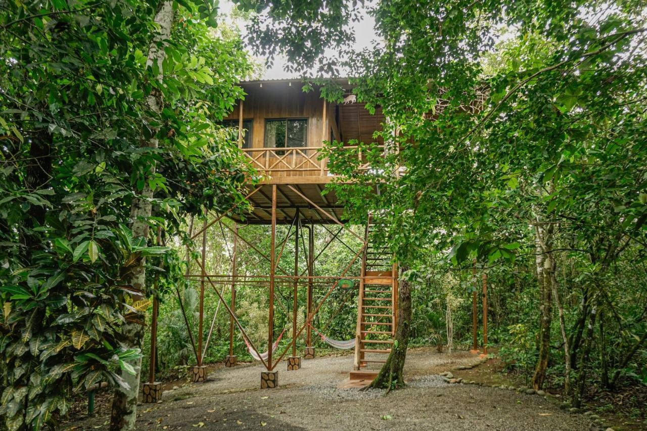 Tree Houses Hotel Costa Rica Florencia Esterno foto