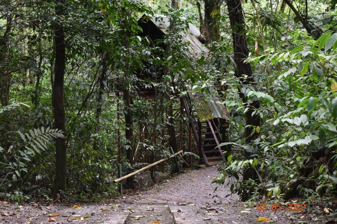Tree Houses Hotel Costa Rica Florencia Esterno foto