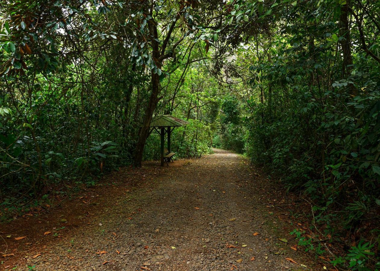 Tree Houses Hotel Costa Rica Florencia Esterno foto