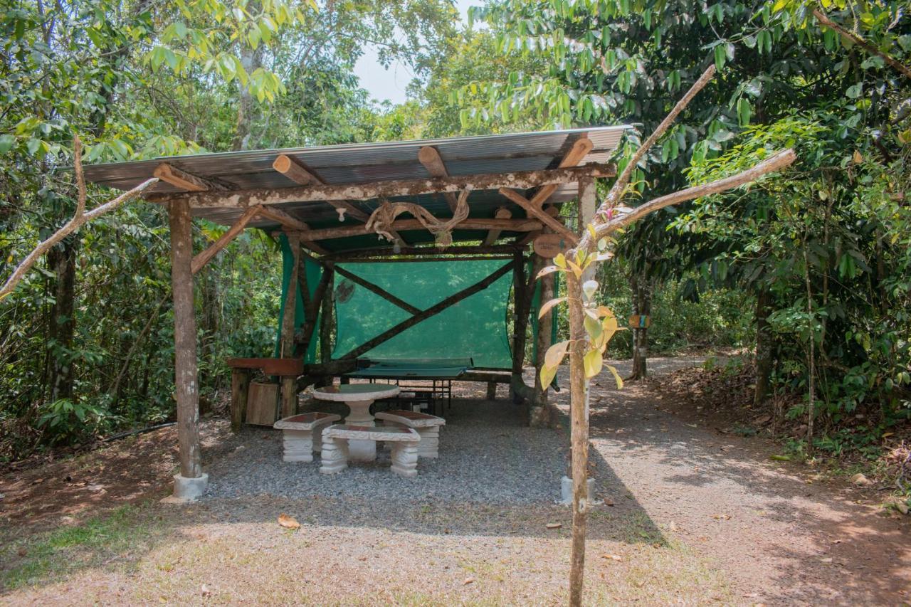 Tree Houses Hotel Costa Rica Florencia Esterno foto